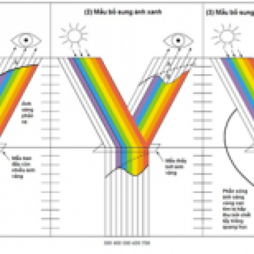 Tẩy Trắng Quang Học – Khám Phá Công Nghệ Làm Sáng Và Bảo Vệ Sản Phẩm